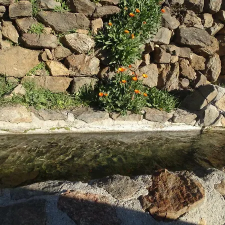 Fantasia En Gredos *