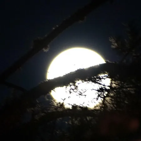 Fantasia En Gredos Vakantiehuis