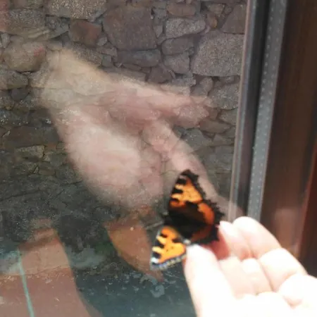 Fantasia En Gredos Vakantiehuis
